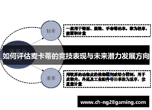 如何评估麦卡蒂的竞技表现与未来潜力发展方向 如何评估麦卡蒂的竞技表现与未来潜力发展方向