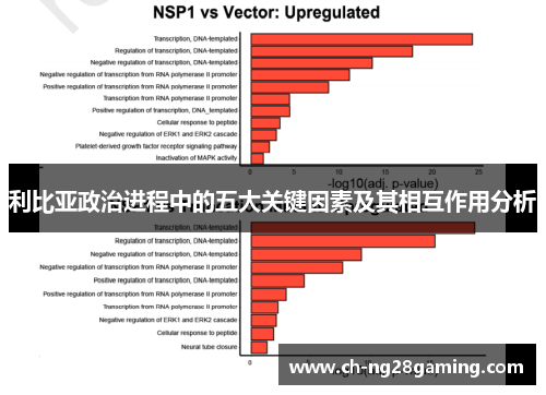 利比亚政治进程中的五大关键因素及其相互作用分析 利比亚政治进程中的五大关键因素及其相互作用分析