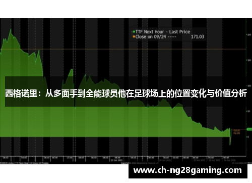 西格诺里:从多面手到全能球员他在足球场上的位置变化与价值分析 西格诺里:从多面手到全能球员他在足球场上的位置变化与价值分析