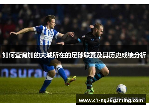 如何查询加的夫城所在的足球联赛及其历史成绩分析