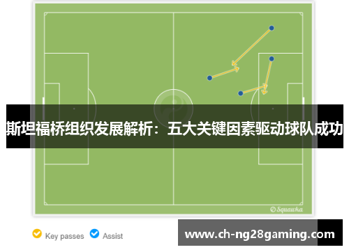 斯坦福桥组织发展解析：五大关键因素驱动球队成功