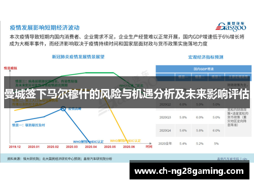 曼城签下马尔穆什的风险与机遇分析及未来影响评估
